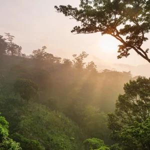 Honduras Dschungel La Mosquitia